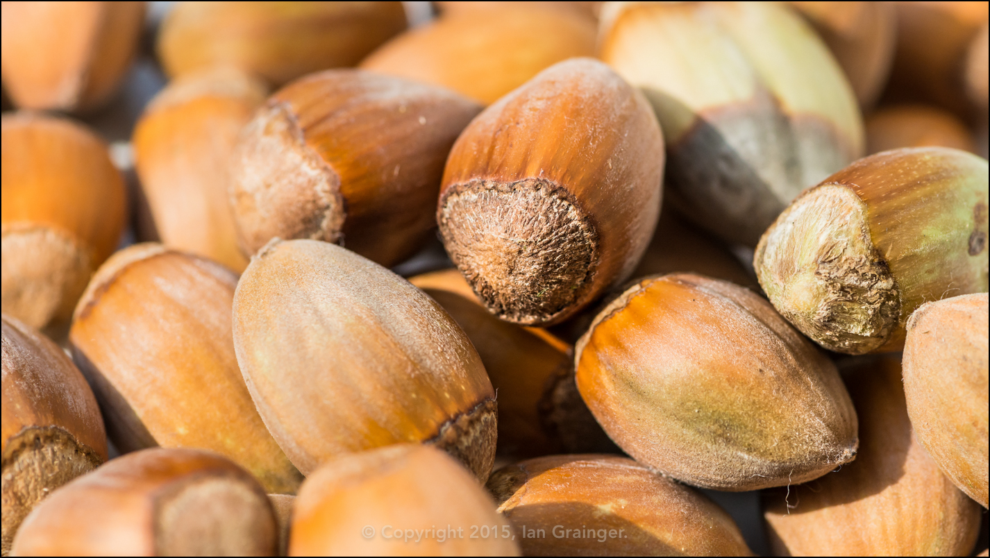 Nuts Whole Hazelnuts