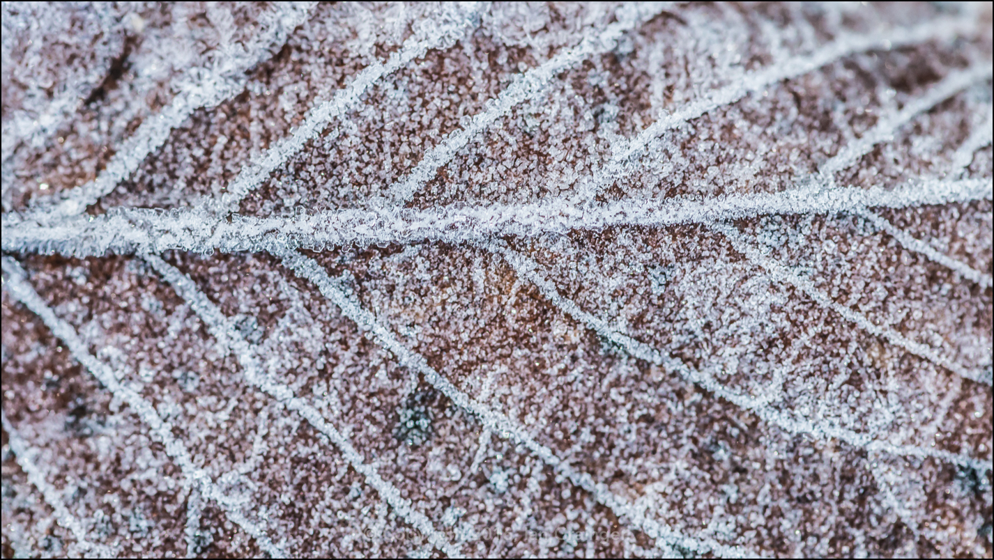 Ice Crystals