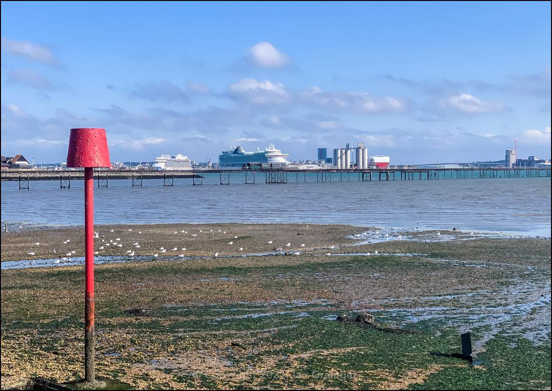 Low Tide